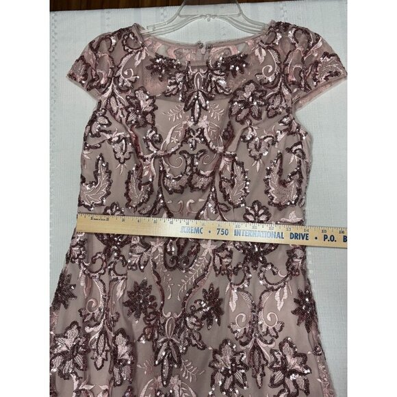 Alex Evenings Size 4 Petite Sequined Embroidered Mauve Maxi Dress Cap Sleeves - Picture 7 of 12